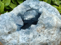 Natural Blue Celestite Geode Specimens x 1 From Sakoany, Madagascar