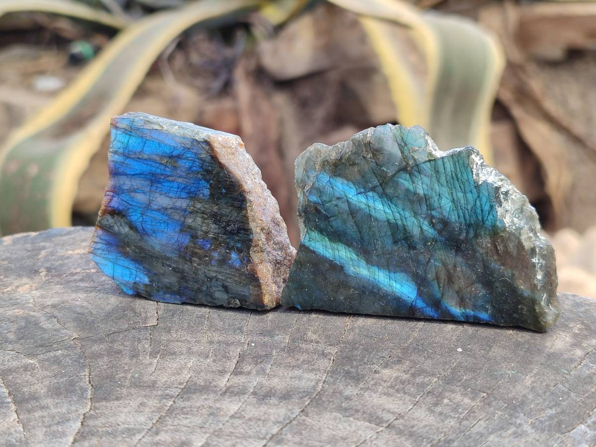 Polished On One Side Labradorite x 24 From Tulear, Madagascar - Toprock Gemstones and Minerals 