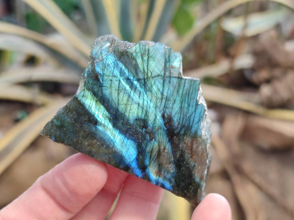 Polished On One Side Labradorite x 24 From Tulear, Madagascar - Toprock Gemstones and Minerals 