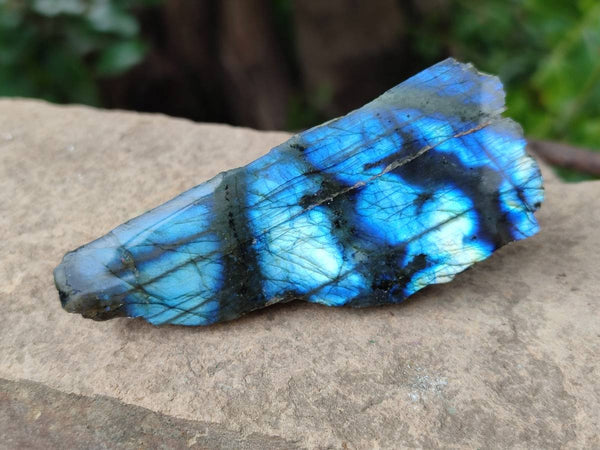 Polished On One Side Labradorite x 24 From Tulear, Madagascar