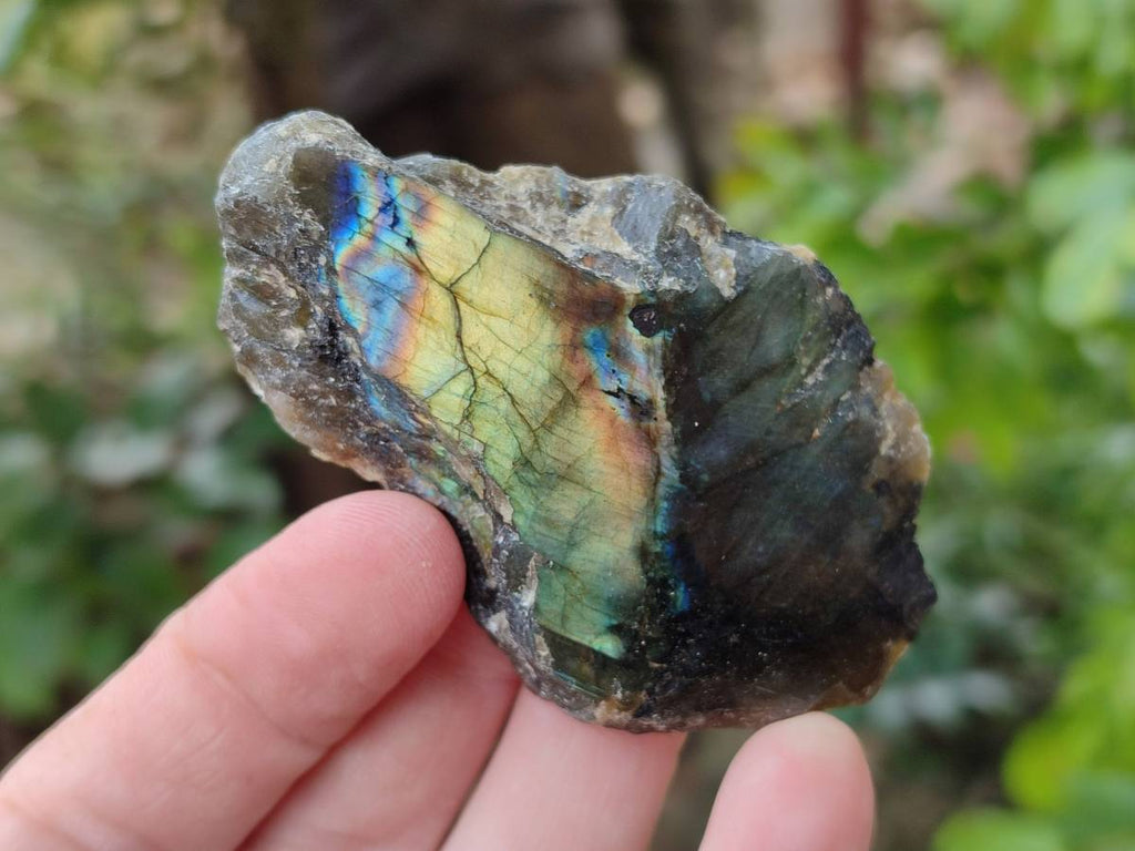 Polished On One Side Labradorite x 24 From Tulear, Madagascar - Toprock Gemstones and Minerals 