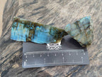 Polished On One Side Labradorite x 24 From Tulear, Madagascar - Toprock Gemstones and Minerals 