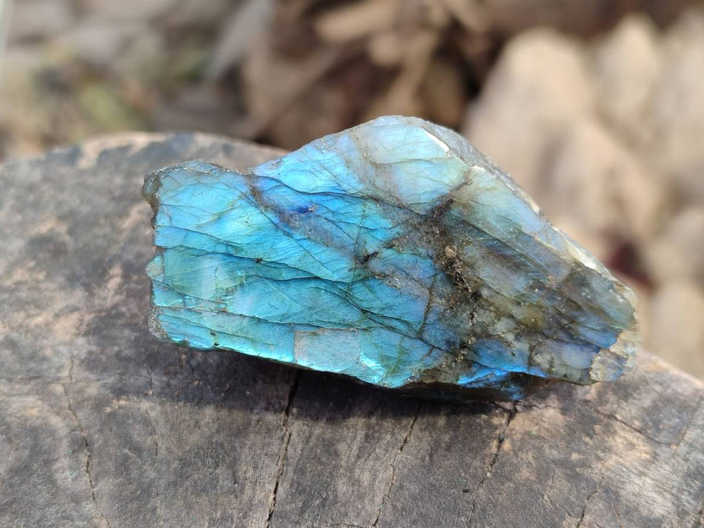 Polished On One Side Labradorite x 24 From Tulear, Madagascar - Toprock Gemstones and Minerals 