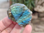 Polished On One Side Labradorite x 24 From Tulear, Madagascar - Toprock Gemstones and Minerals 