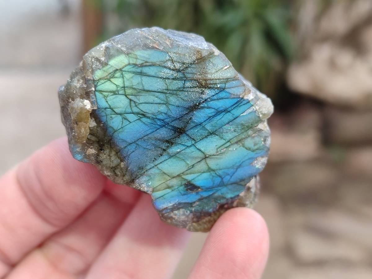 Polished On One Side Labradorite x 24 From Tulear, Madagascar - Toprock Gemstones and Minerals 