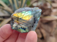 Polished On One Side Labradorite x 24 From Tulear, Madagascar