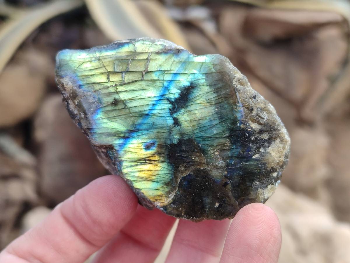 Polished On One Side Labradorite x 24 From Tulear, Madagascar - Toprock Gemstones and Minerals 