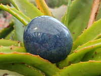 Polished Lazulite Palm Stones x 12 From Madagascar