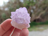 Natural Amethyst Spirit Quartz Crystals x 20 From Boekenhouthoek, South Africa