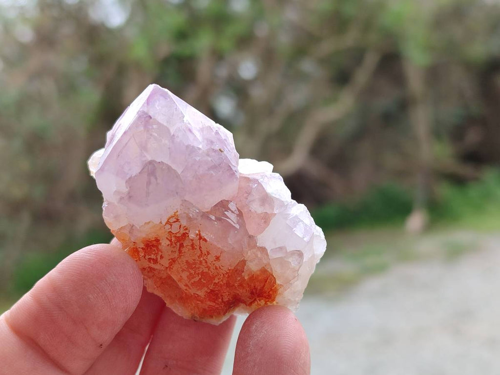 Natural Amethyst Spirit Quartz Crystals x 20 From Boekenhouthoek, South Africa - Toprock Gemstones and Minerals 