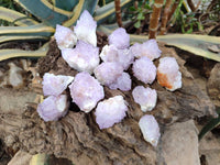 Natural Amethyst Spirit Quartz Crystals x 20 From Boekenhouthoek, South Africa