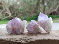 Natural Amethyst Spirit Quartz Crystals x 20 From Boekenhouthoek, South Africa