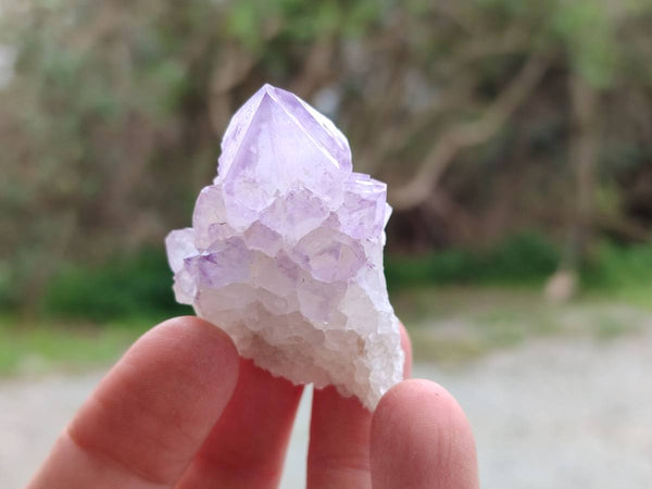 Natural Amethyst Spirit Quartz Crystals x 20 From Boekenhouthoek, South Africa