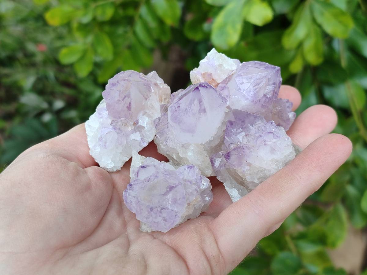 Natural Amethyst Spirit Quartz Crystals x 20 From Boekenhouthoek, South Africa - Toprock Gemstones and Minerals 