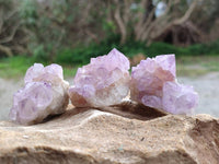 Natural Amethyst Spirit Quartz Crystals x 20 From Boekenhouthoek, South Africa