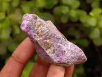 Natural Stichtite Cobbed Specimens x 1, 3Kg Lot From Barberton, South Africa