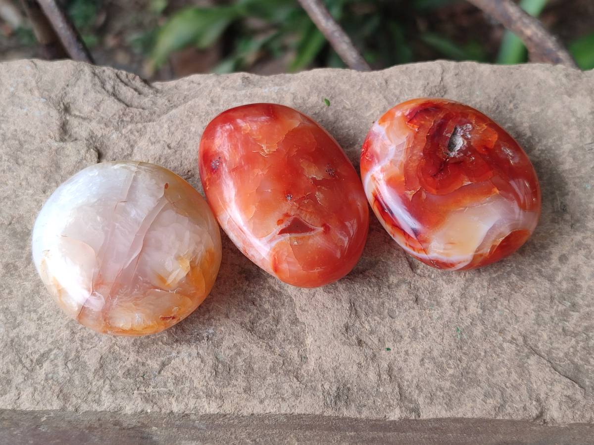Polished Carnelian Agate Gemstone Galets x 20 From Madagascar - Toprock Gemstones and Minerals 
