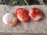 Polished Carnelian Agate Gemstone Galets x 20 From Madagascar