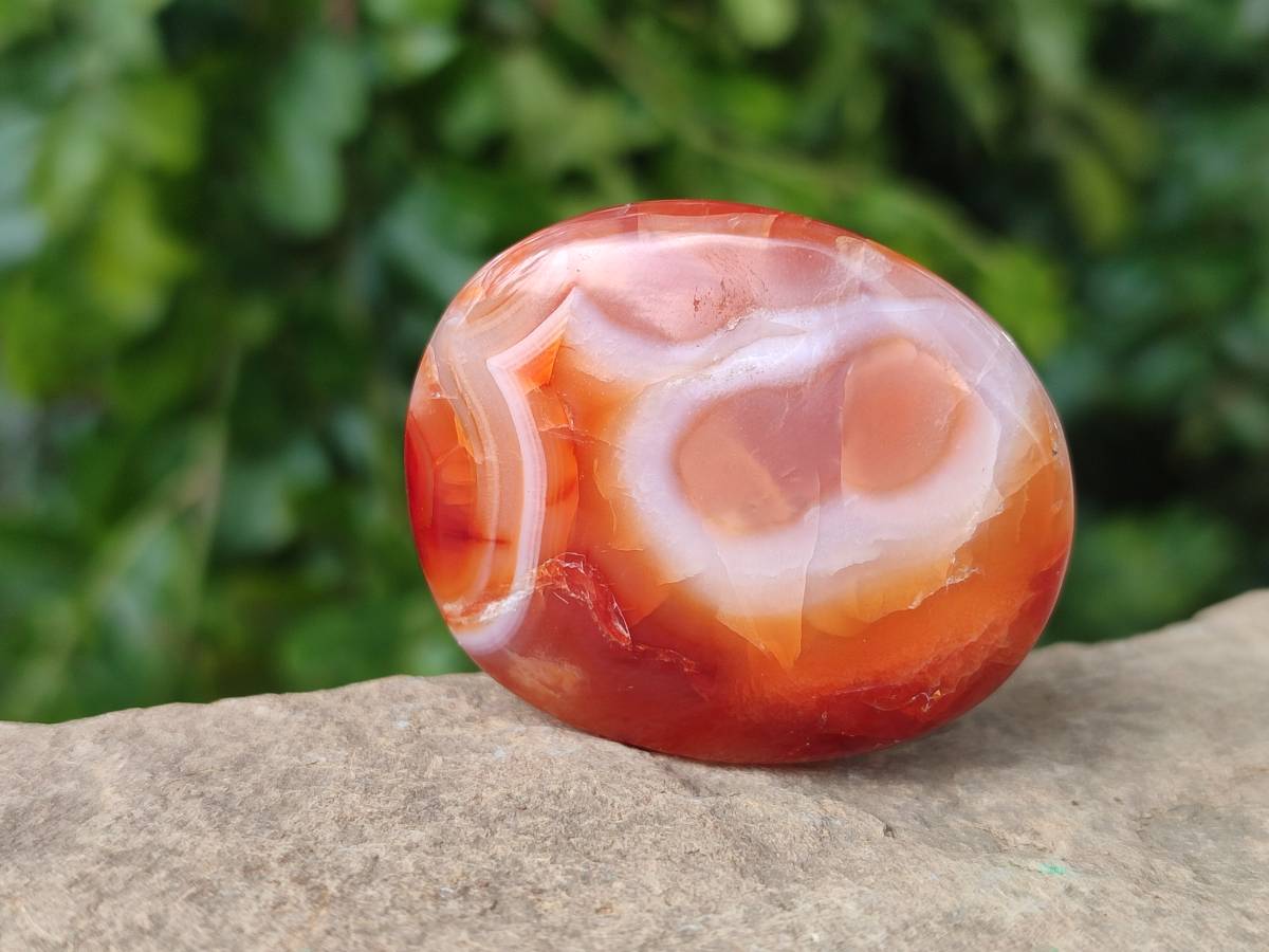 Polished Carnelian Agate Gemstone Galets x 20 From Madagascar - Toprock Gemstones and Minerals 