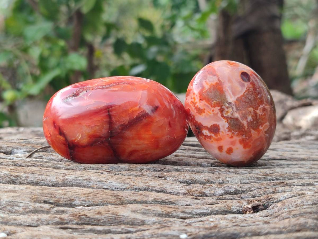 Polished Carnelian Agate Gemstone Galets x 20 From Madagascar - Toprock Gemstones and Minerals 