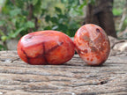 Polished Carnelian Agate Gemstone Galets x 20 From Madagascar - Toprock Gemstones and Minerals 