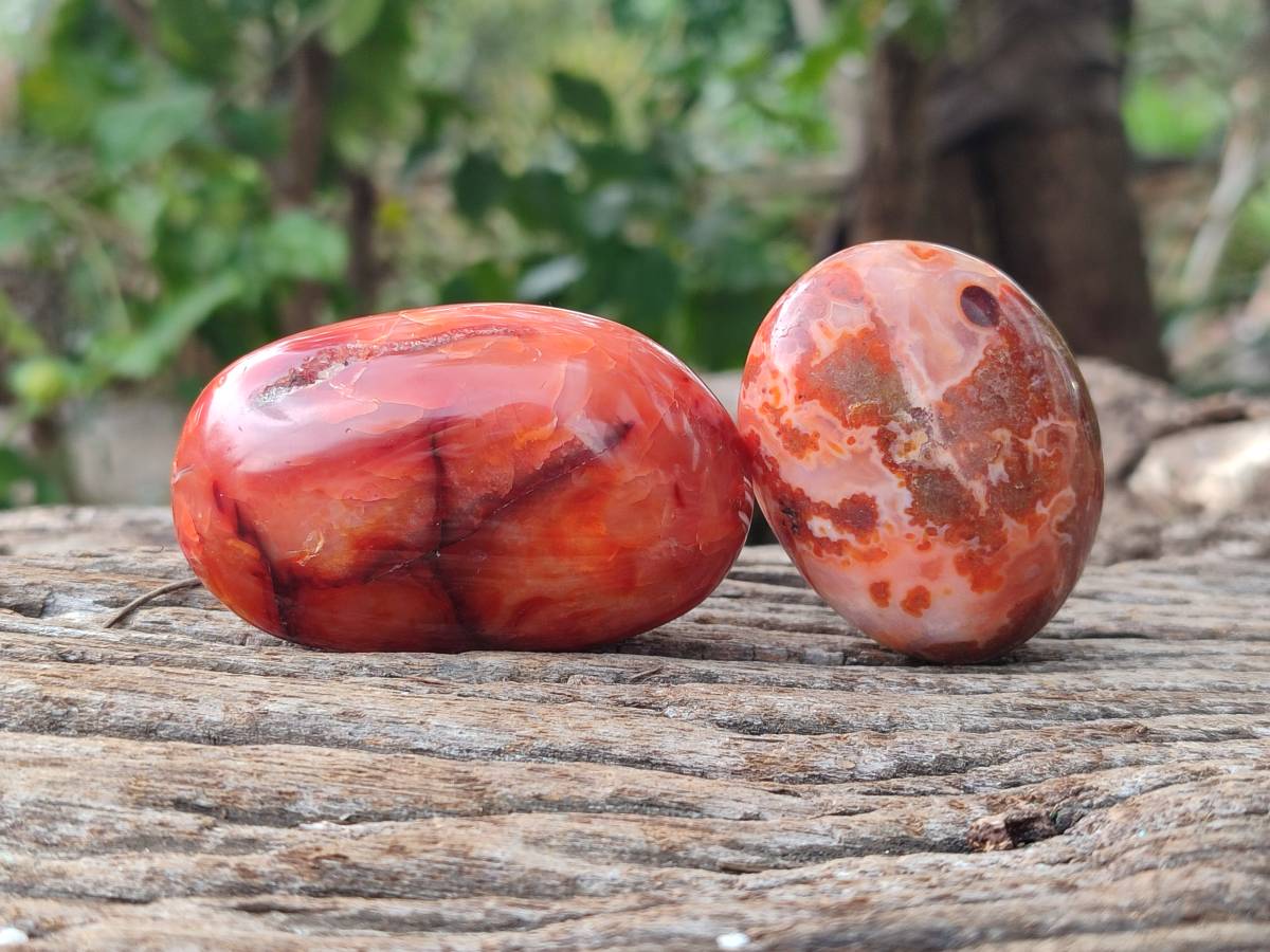 Polished Carnelian Agate Gemstone Galets x 20 From Madagascar - Toprock Gemstones and Minerals 