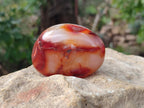 Polished Carnelian Agate Gemstone Galets x 20 From Madagascar - Toprock Gemstones and Minerals 