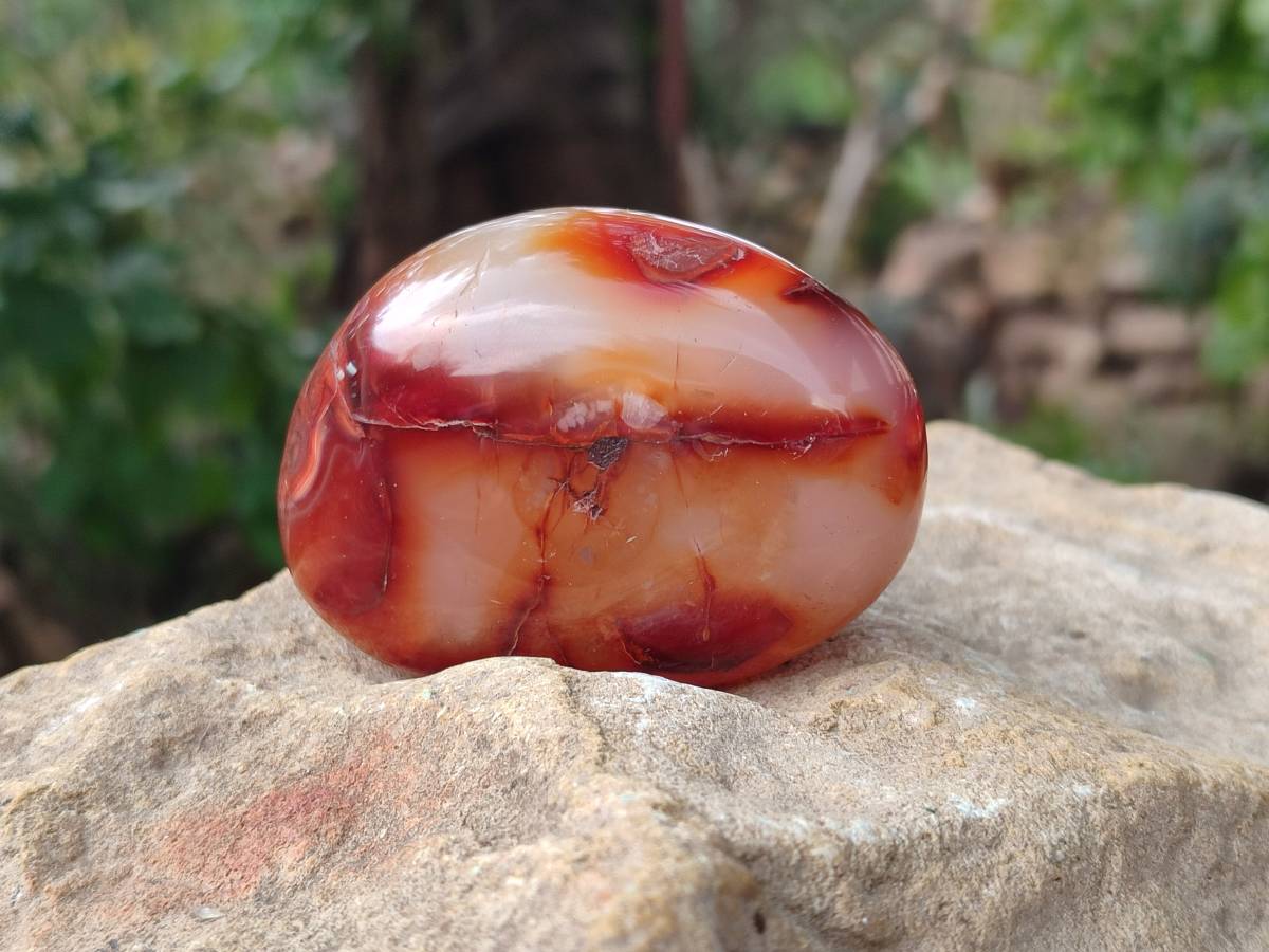 Polished Carnelian Agate Gemstone Galets x 20 From Madagascar - Toprock Gemstones and Minerals 