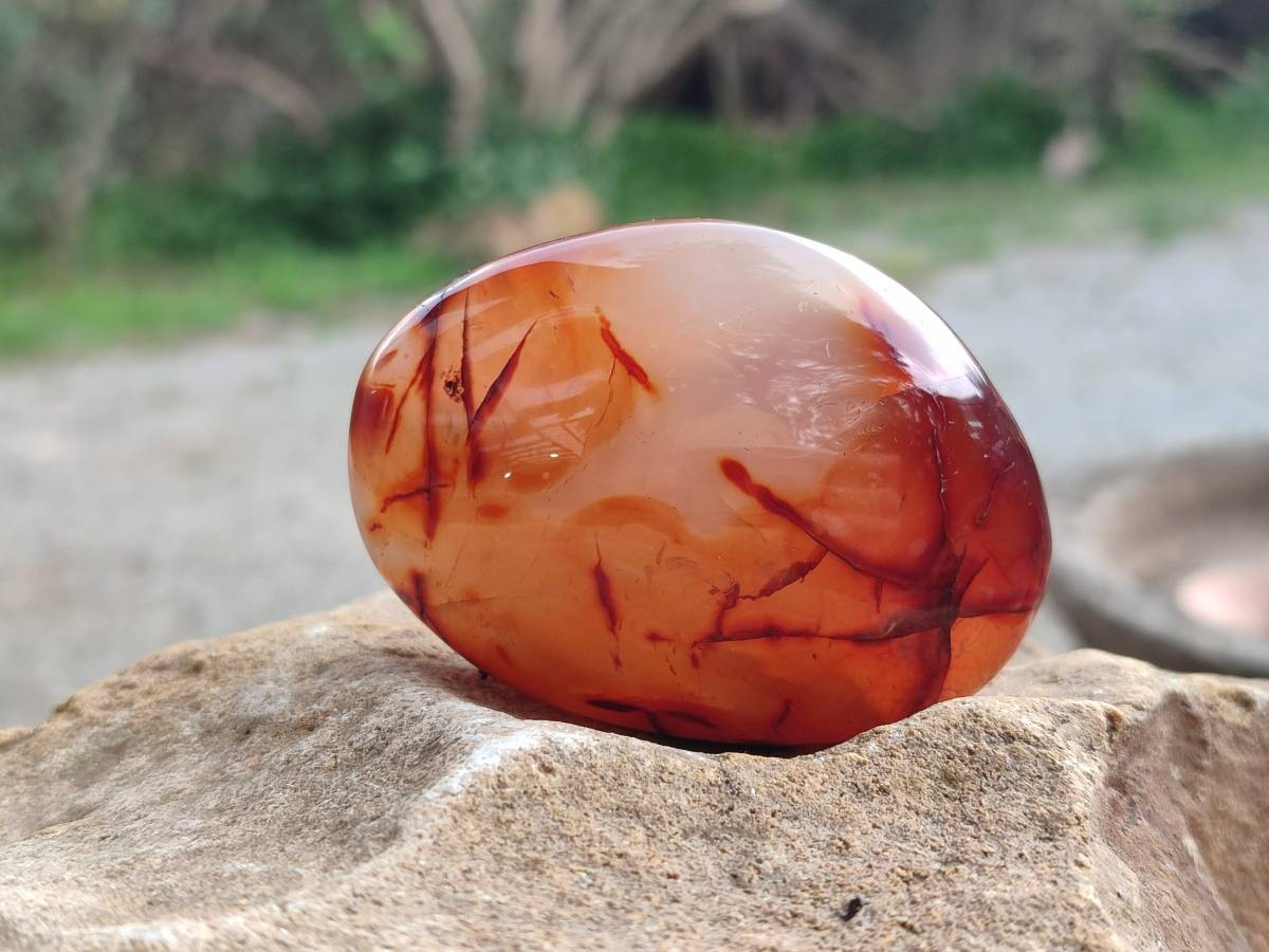 Polished Carnelian Agate Gemstone Galets x 20 From Madagascar - Toprock Gemstones and Minerals 