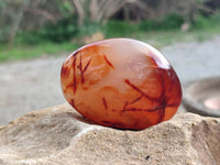 Polished Carnelian Agate Gemstone Galets x 20 From Madagascar