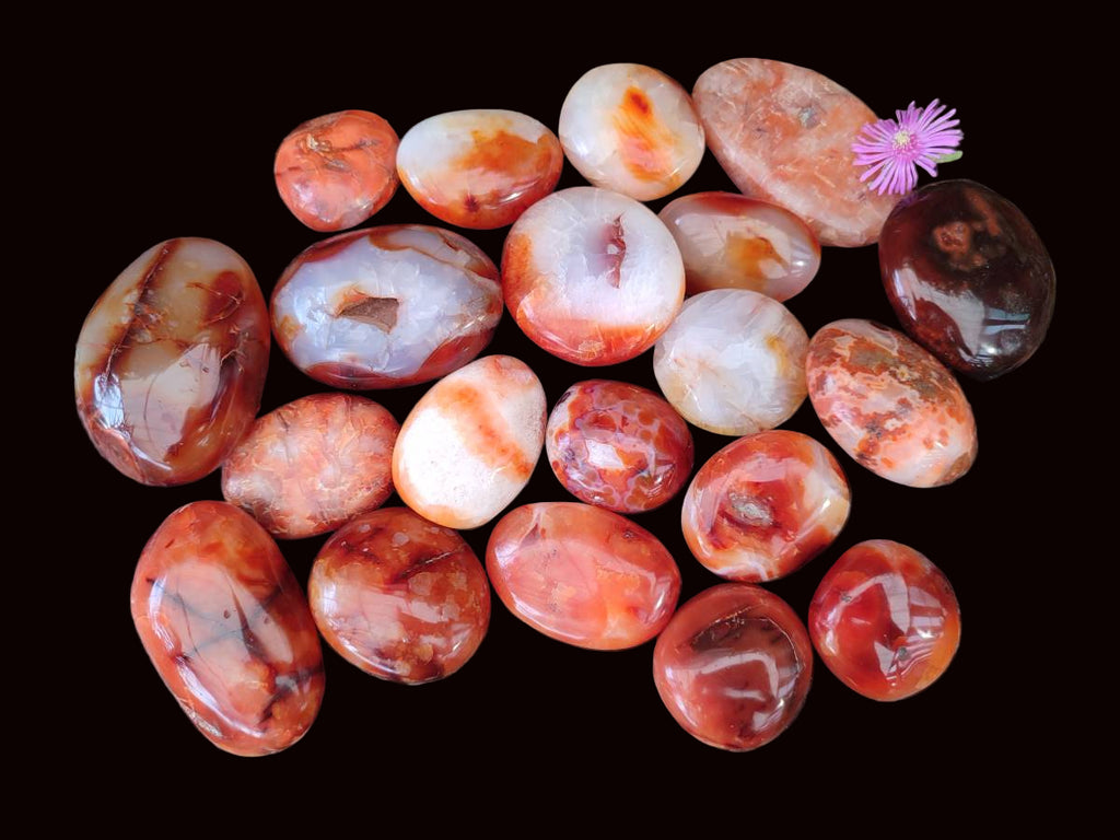 Polished Carnelian Agate Gemstone Galets x 20 From Madagascar - Toprock Gemstones and Minerals 