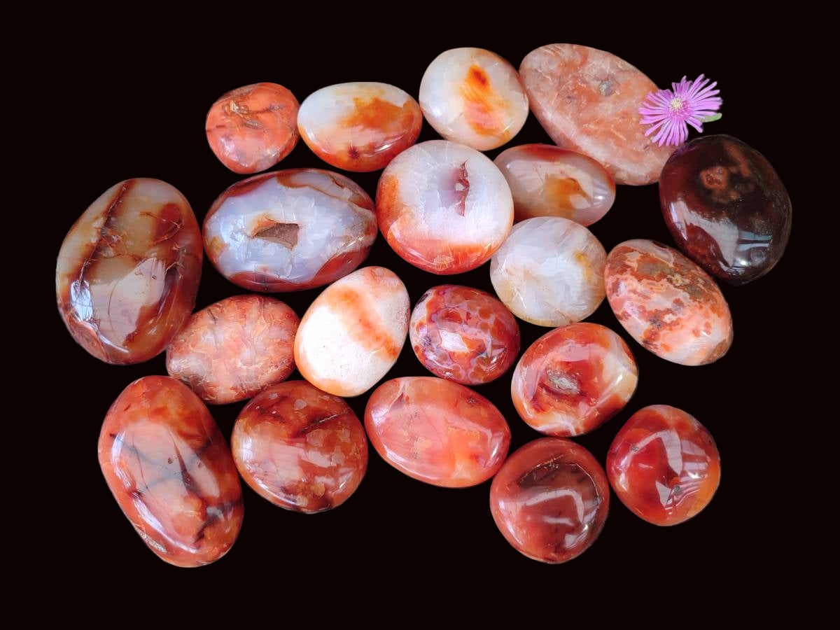 Polished Carnelian Agate Gemstone Galets x 20 From Madagascar - Toprock Gemstones and Minerals 