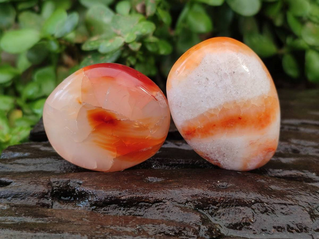 Polished Carnelian Agate Gemstone Galets x 20 From Madagascar - Toprock Gemstones and Minerals 