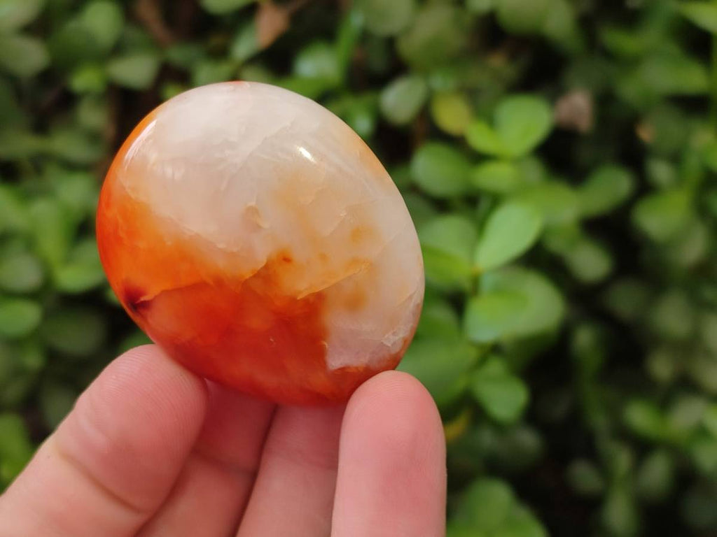 Polished Carnelian Agate Gemstone Galets x 20 From Madagascar - Toprock Gemstones and Minerals 