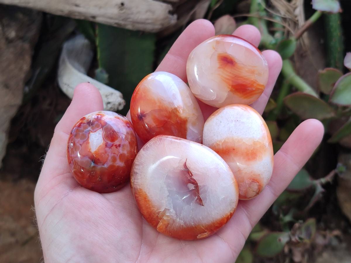 Polished Carnelian Agate Gemstone Galets x 20 From Madagascar - Toprock Gemstones and Minerals 