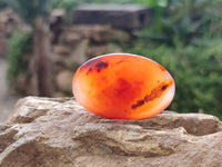 Polished Carnelian Agate Gemstone Galets x 20 From Madagascar