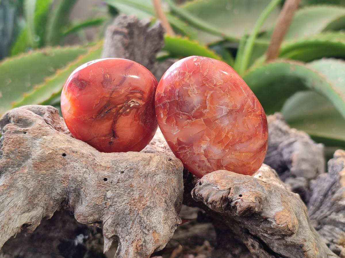 Polished Carnelian Agate Gemstone Galets x 20 From Madagascar - Toprock Gemstones and Minerals 