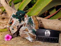 Natural Ball Malachite and Drusy Quartz On Dolomite Matrix Specimens x 2 From Kambove, Congo