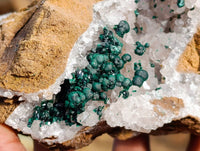 Natural Ball Malachite and Drusy Quartz On Dolomite Matrix Specimens x 2 From Kambove, Congo