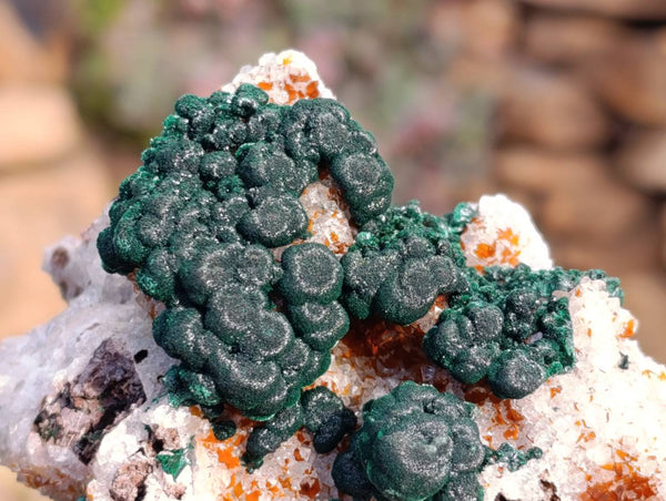 Natural Ball Malachite and Drusy Quartz On Dolomite Matrix Specimens x 2 From Kambove, Congo