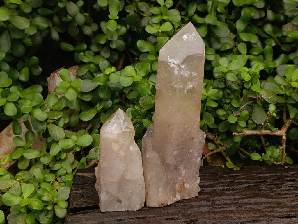 Polished Pearly Standing Quartz Crystals x 2 From Angola - Toprock Gemstones and Minerals 