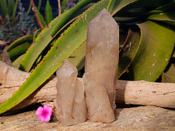 Polished Pearly Standing Quartz Crystals x 2 From Angola
