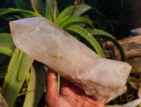 Polished Pearly Standing Quartz Crystals x 2 From Angola
