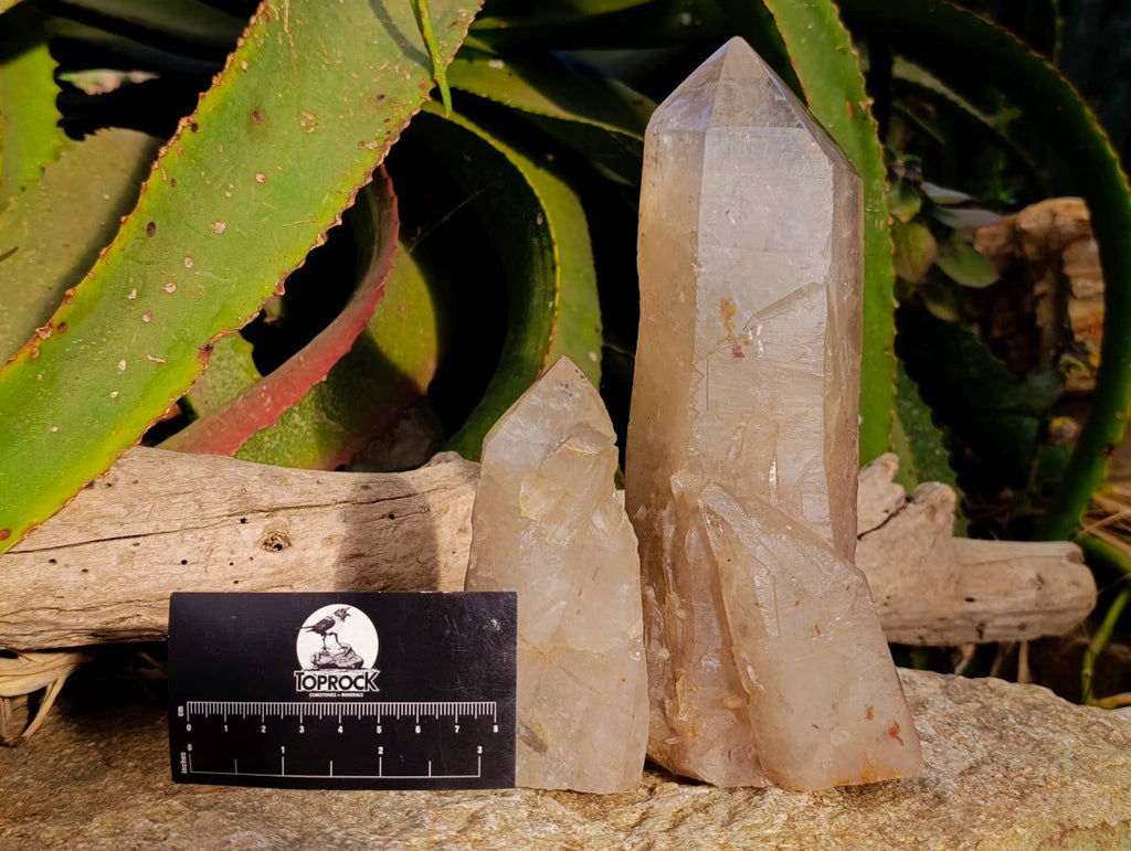 Polished Pearly Standing Quartz Crystals x 2 From Angola - Toprock Gemstones and Minerals 