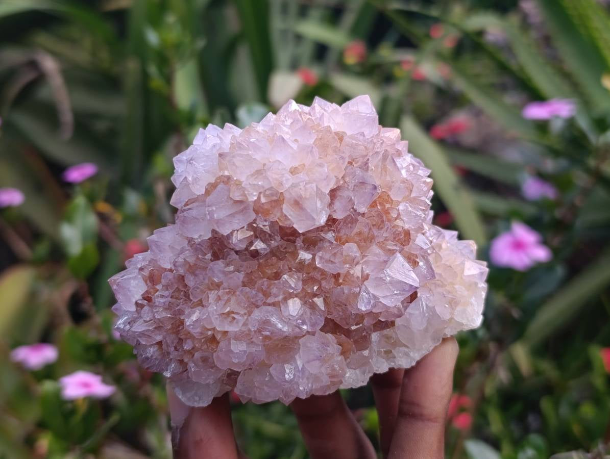 Natural Amethyst Spirit Quartz Clusters x 3 From Boekenhouthoek, South Africa - Toprock Gemstones and Minerals 