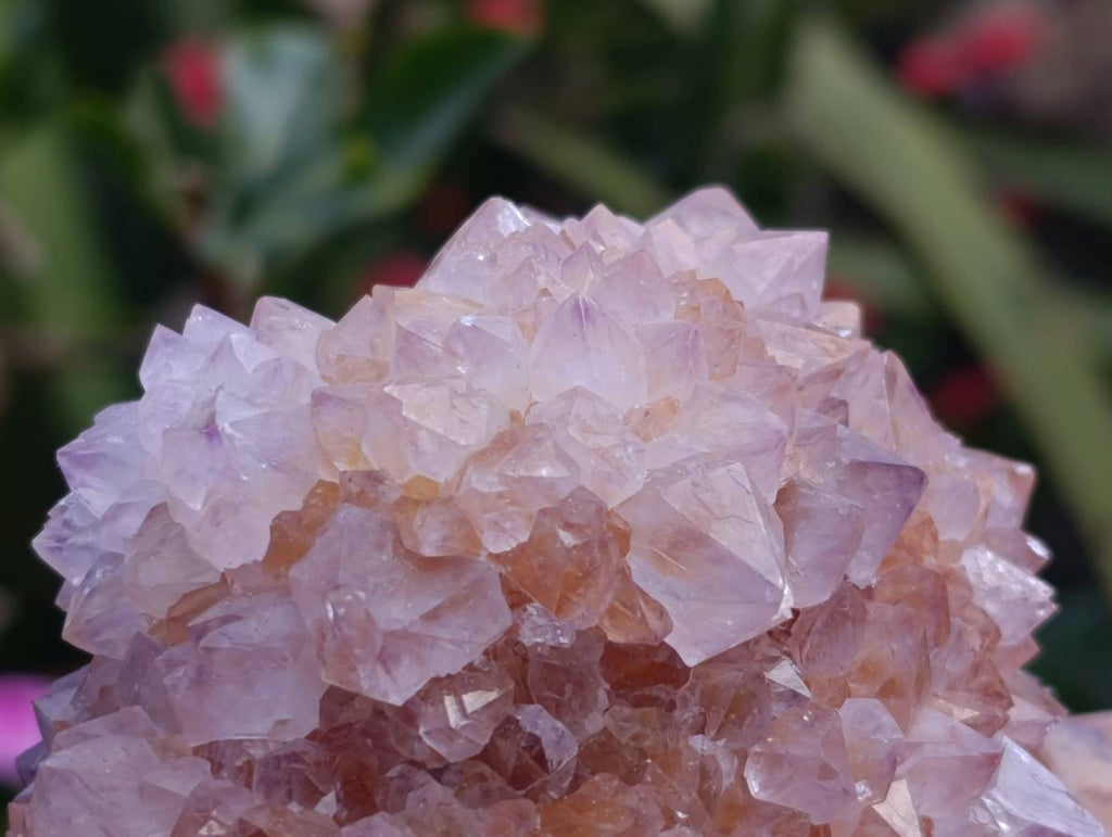 Natural Amethyst Spirit Quartz Clusters x 3 From Boekenhouthoek, South Africa - Toprock Gemstones and Minerals 