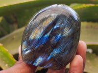 Polished Labradorite Standing Free Forms x 6 From Tulear, Madagascar
