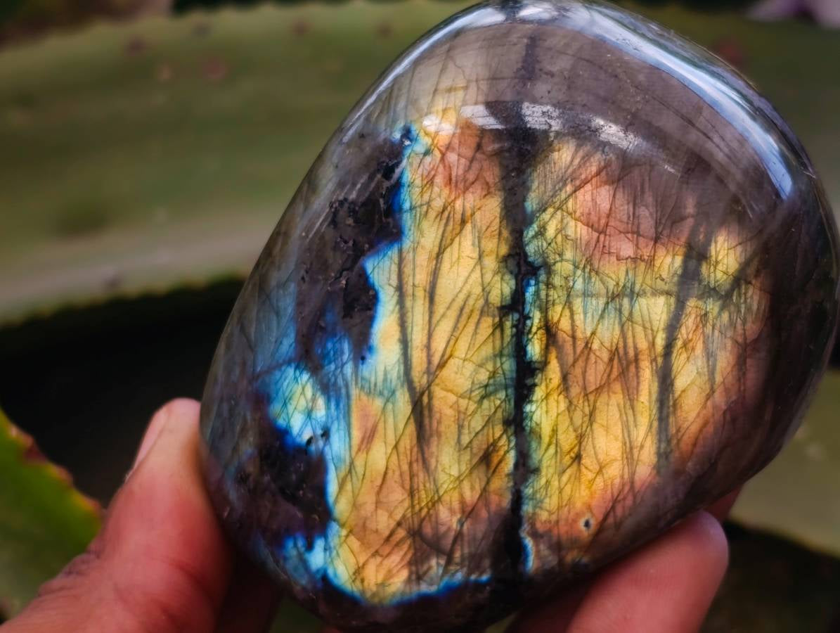 Polished Labradorite Standing Free Forms x 6 From Tulear, Madagascar - Toprock Gemstones and Minerals 