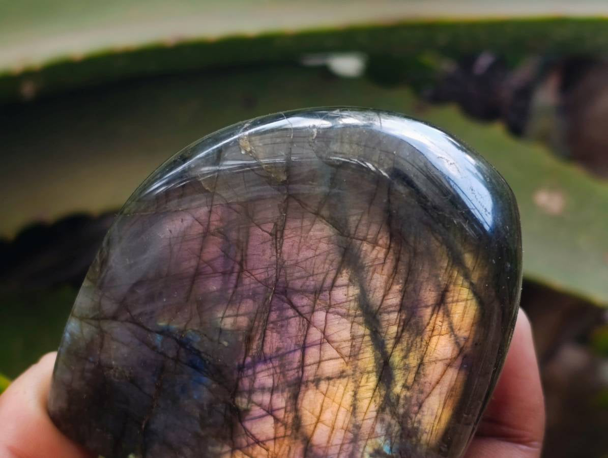 Polished Labradorite Standing Free Forms x 6 From Tulear, Madagascar - Toprock Gemstones and Minerals 