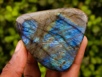 Polished Labradorite Standing Free Forms x 6 From Tulear, Madagascar